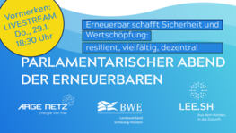 Livestream Neujahresempfang der Erneuerbaren